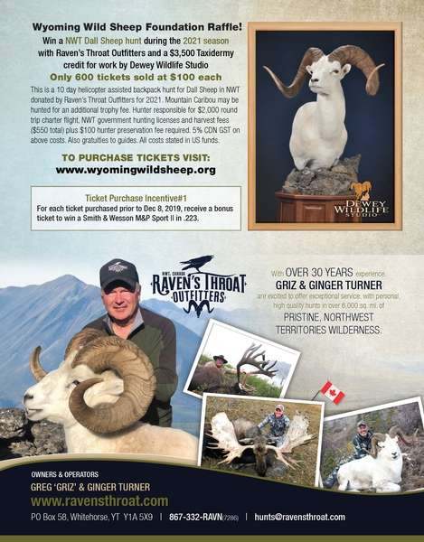 2021 Dall Sheep Drawing!